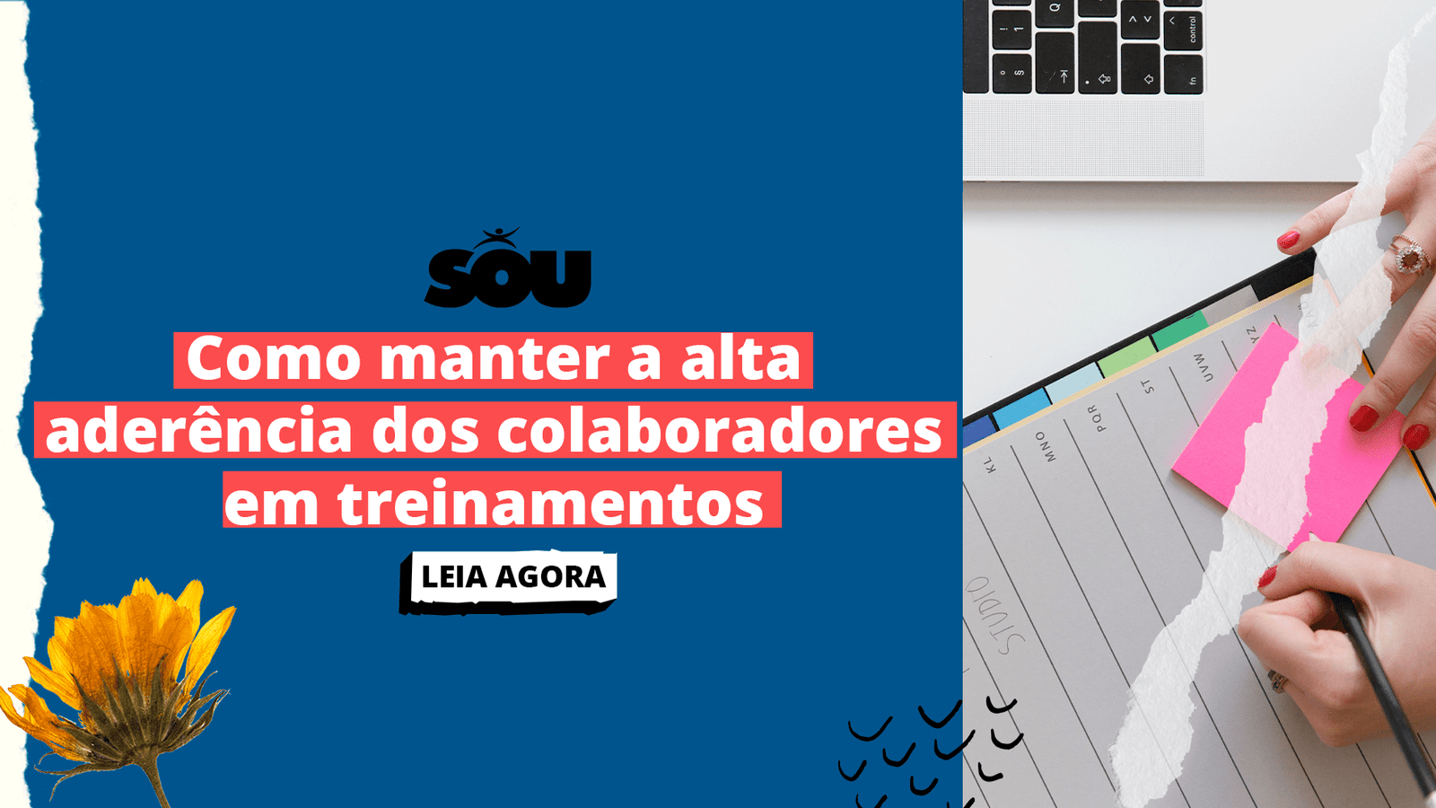 Alta aderência