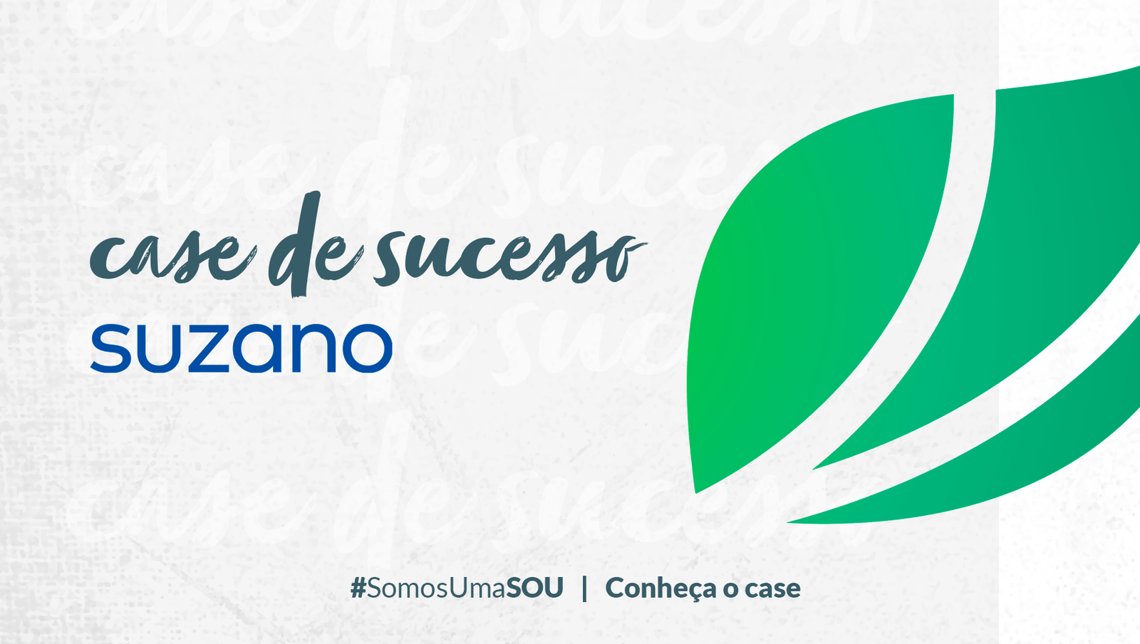 Case Suzano Treinamento Anticorrupção