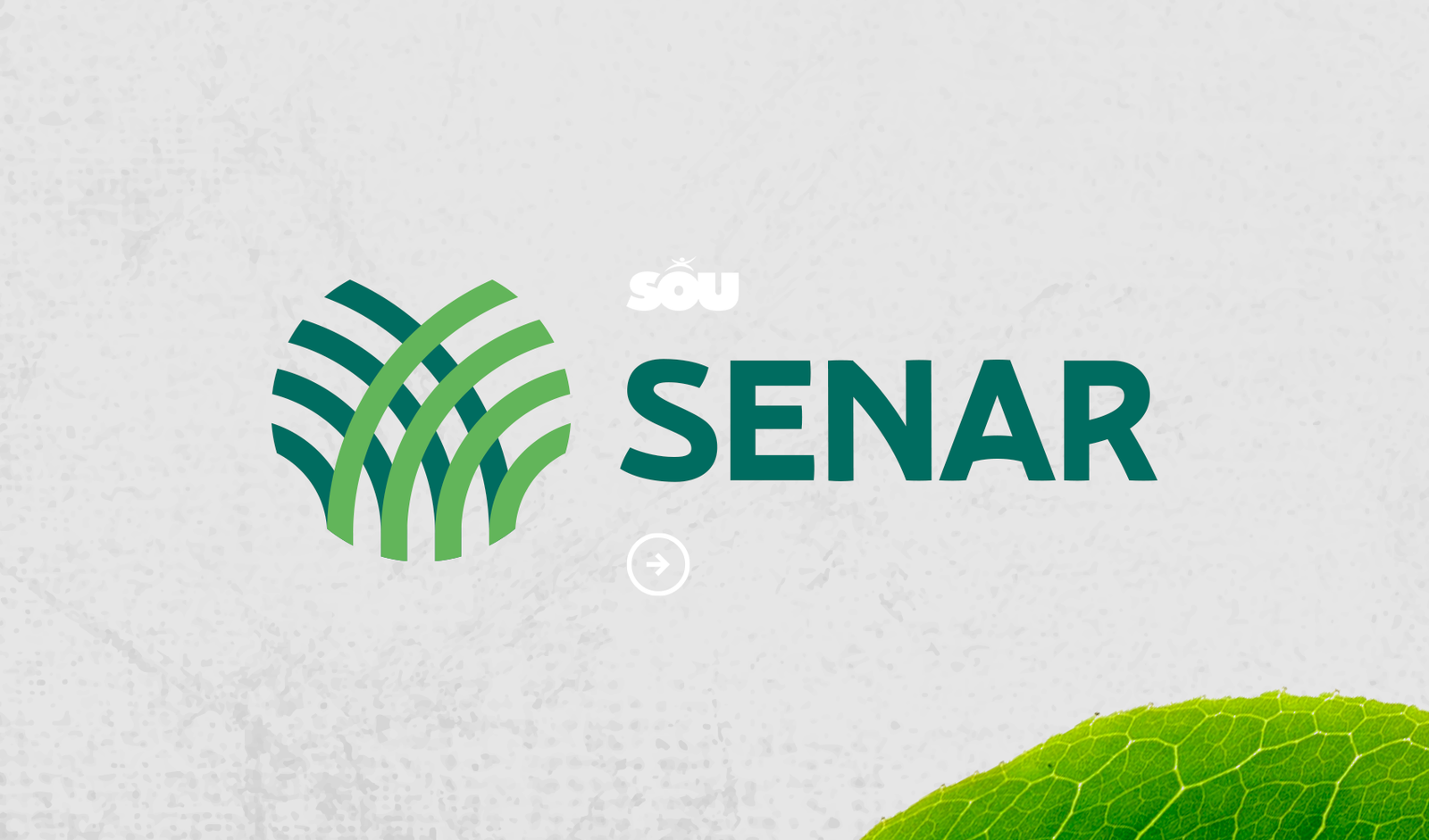 Case SENAR - Consultoria para Estruturação do Projeto de Educação Corporativa.